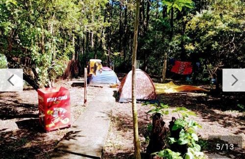 Muquem Otro | Campin novas palmeiras 953