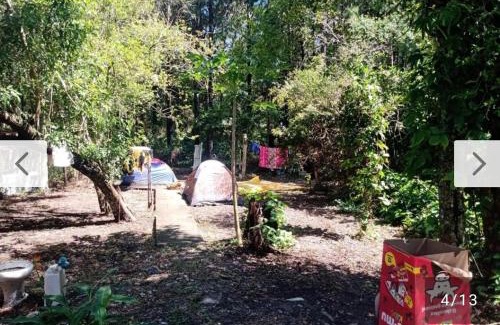 Muquem Otro | Campin novas palmeiras 953