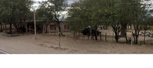 Ampimpa Otro | Camping Agreste "El Algarrobo de Quilmes"