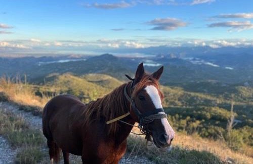 Karuc Otro | camping and horseback riding Parci