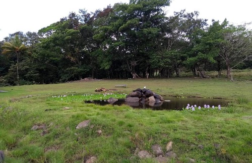 Tierras Morenas Alquiler De RV | Camping y área para estacionar tu casa Rodante 5
