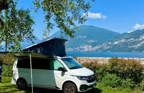 Assenza Otro | Camping Antonio