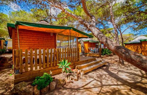 Es Canar Otro | Camping Cala Nova
