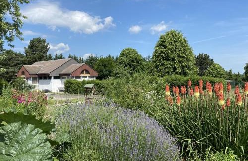 Rochefort-Montagne Otro | CAMPING de la BUGE