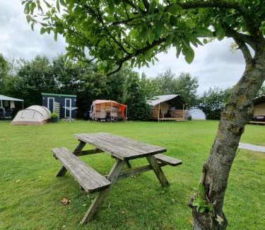 Breezand Otro | Camping De Tulpenweide lege Kampeerplaats, lege plaats op het gras zonder bed
