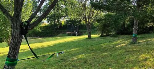 Engravies Otro | Camping des vignes