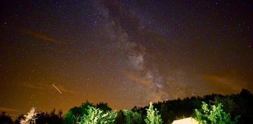 Engravies Otro | Camping des vignes