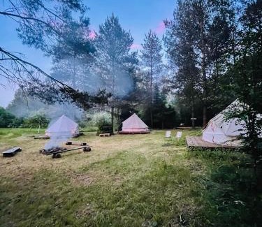 Przywidz Otro | Camping Ekologiczny Koziołeczek