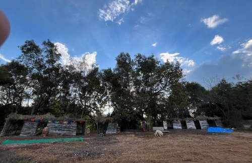 Patzcuaro Otro | Camping en granja los nogales