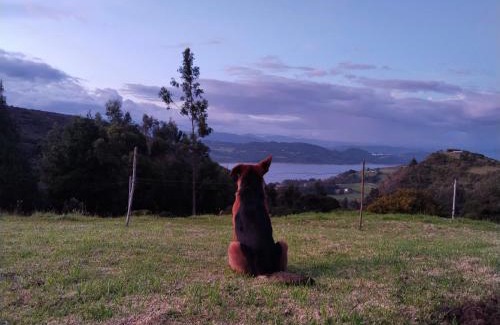 Guatavita Otro | Camping Finca Entre Montañas
