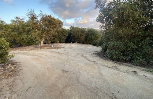 Fallbrook Alquiler De RV | Camping in the Avocados with Mountain river views