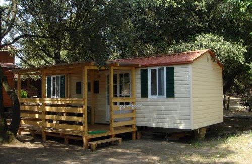 Quartiere XXXV Lido di Castel Fusano Otro | Camping Internazionale Di Castelfusano