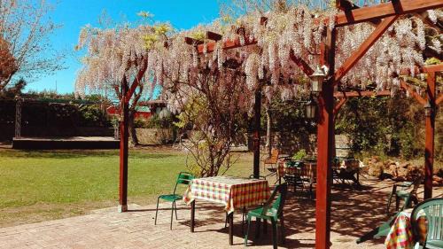 Quartiere XXXV Lido di Castel Fusano Otro | Camping Internazionale Di Castelfusano