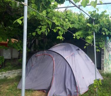 Borsh Otro | Camping Jungle in Borsh
