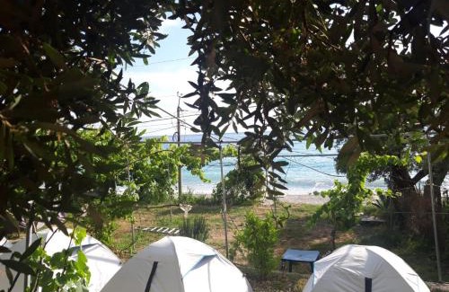 Borsh Otro | Camping Jungle in Borsh