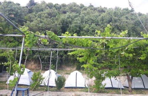 Borsh Otro | Camping Jungle in Borsh