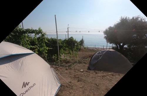 Borsh Otro | Camping Jungle in Borsh