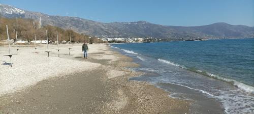Karystos Otro | Camping.Karystos Melodia