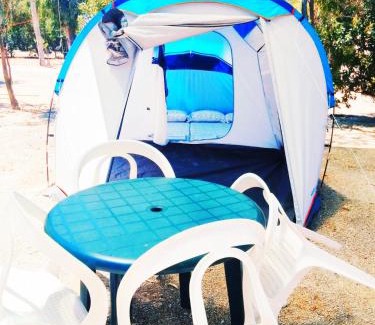 Gandia Otro | Camping la Naranja