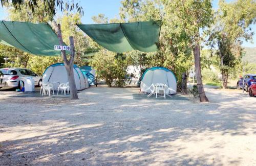 Gandia Otro | Camping la Naranja