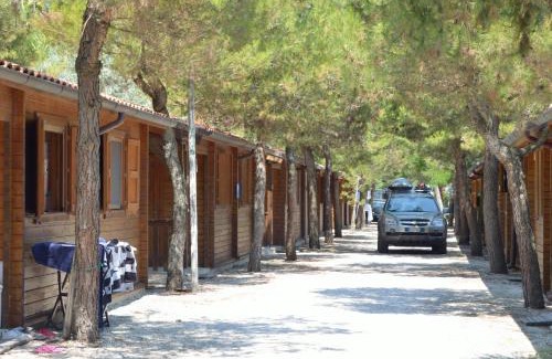 Porto Recanati Otro | Camping La Pineta