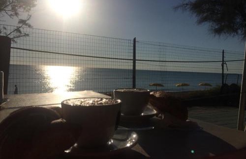 Porto Recanati Otro | Camping La Pineta