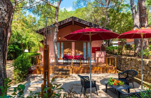 Lacona Complejo | Camping Lacona Pineta