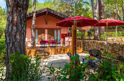 Lacona Complejo | Camping Lacona Pineta