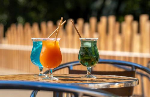 Saint-Michel-en-l'Herm Otro | Camping les mizottes