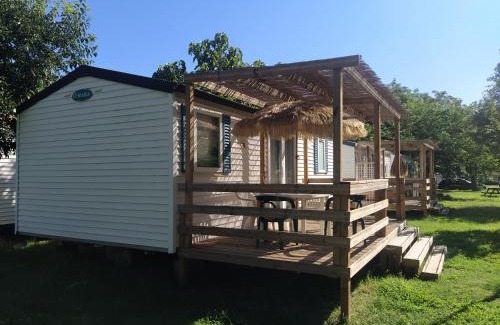 Saint-Just Otro | Camping Le Mas Sud Ardèche