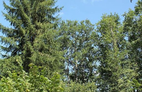 Condat-sur-Ganaveix Otro | Camping Moulin De La Geneste