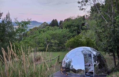 Granarola Otro | Camping Paradiso