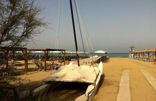 Calambrone Otro | Camping Pineta