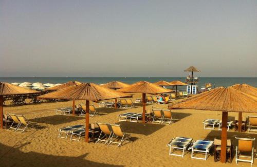 Calambrone Otro | Camping Pineta