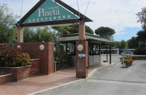Calambrone Otro | Camping Pineta