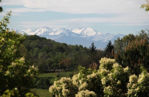 Cassagnabere-Tournas Casa | Pré Fixe campsite **** - Lodge Safari Woody 3 rooms 4 people