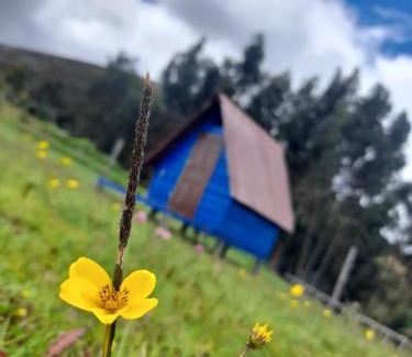 Guatavita Cabina | Camping San Francisco - Cabaña, Teepee & Zona de Camping