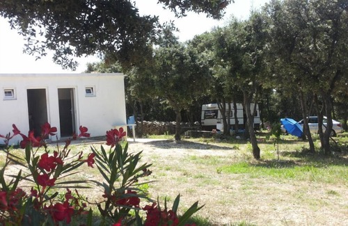 Mandre Alquiler De RV | Acampar azúcar para unas vacaciones perfectas