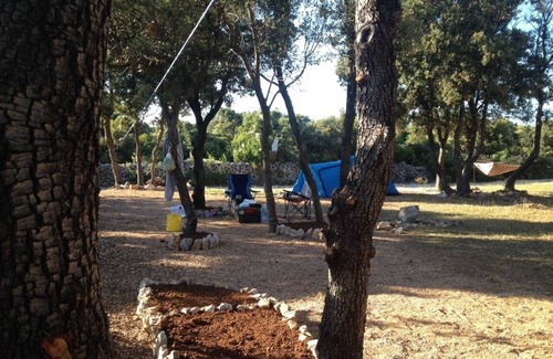 Mandre Alquiler De RV | Acampar azúcar para unas vacaciones perfectas