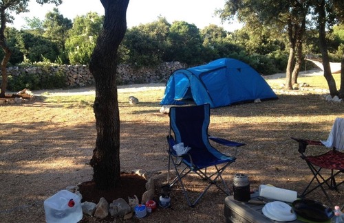 Mandre Alquiler De RV | Acampar azúcar para unas vacaciones perfectas