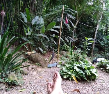 Cocaia Otro | Camping Trópico de Capricórnio - Ilhabela