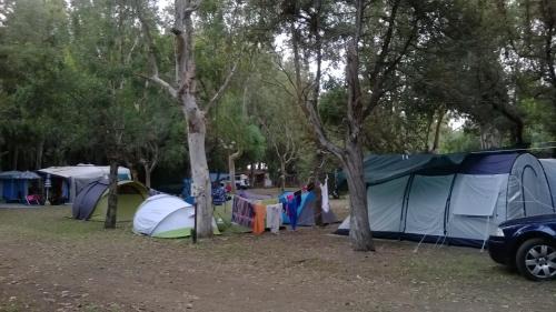 Sant'Eufemia Lamezia Otro | Camping Ulisse Calabria