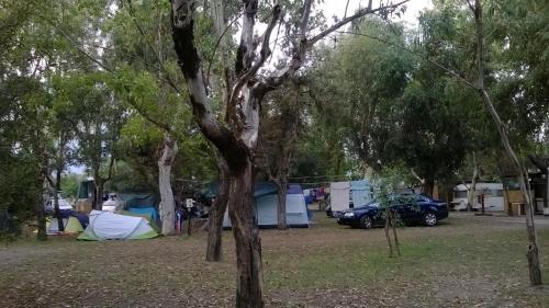 Sant'Eufemia Lamezia Otro | Camping Ulisse Calabria