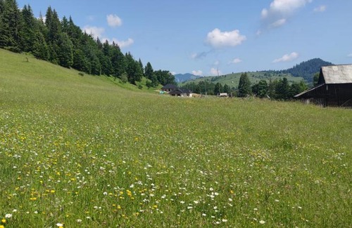 Damuc Otro | Camping VATRA