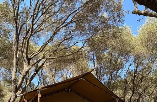 Vetricella Casa | Camping Vigna Maggiore * - LODGE TENT without bathroom! 5 people