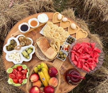 Grile Otro | Camping villa lake shkodra