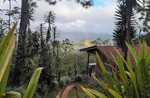 Sierra Cabina | Monteverde Birding Paradise: Green Jewel in the mountains!
