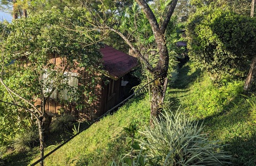 Sierra Cabina | Monteverde Birding Paradise: Green Jewel in the mountains!