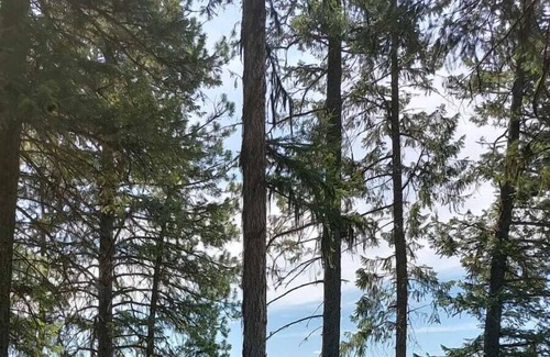 Olney Alquiler De RV | Campsite #1 with Lake Access