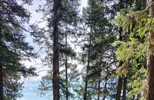 Olney Alquiler De RV | Campsite #2 with Lake Access